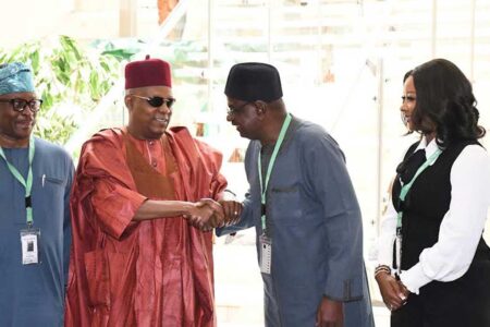 Nigeria dawdles on $5b Africa Energy Bank take-off 9 months after