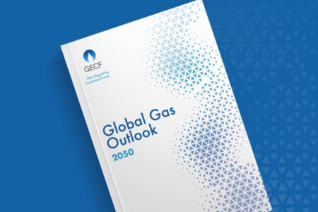 Nigeria’s Gas Sector Revolution: Ekpo Highlights  Transformation, Infrastructure Boom